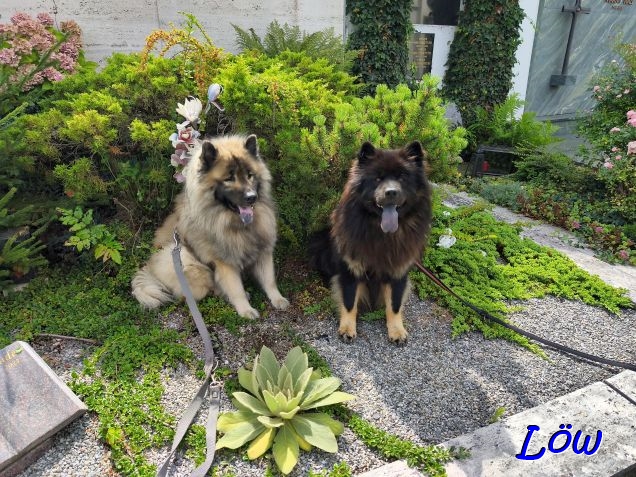 23.8.2025 - Grabaufputz